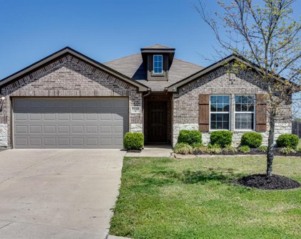5160 Royal Springs  Drive, Forney