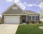 1416 Fair Forest Lane, Chapin image