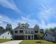 143 Collins Cove Drive, Chapin image