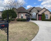 916 Waterford Trail, Calera image