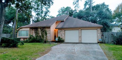 22303 Mosswillow Lane, Tomball