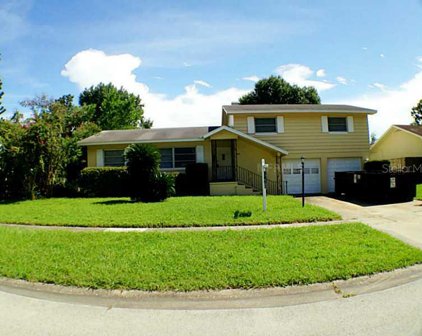 3424 Edland Drive, Orlando