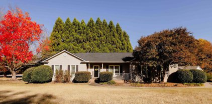 103 Cold Branch Way, Greenville