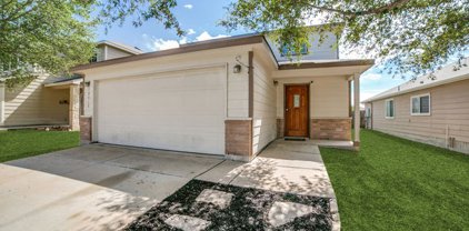 10918 Dewlap Trail, San Antonio