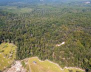 35 ac(MOL) Ob Gatlin, Crestview image