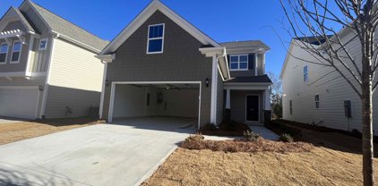 105 Hyssop Court Unit Lot 191, Greenville