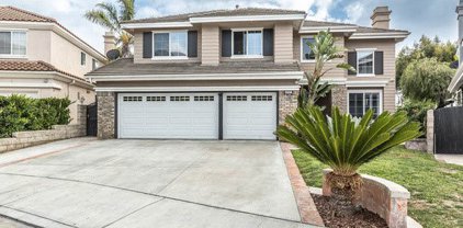 6506 E Hightree Lane, Orange