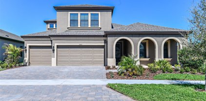 12887 Tortoise Shell Place, Riverview