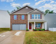 519 Elmwood Pond  Court, Charlotte image