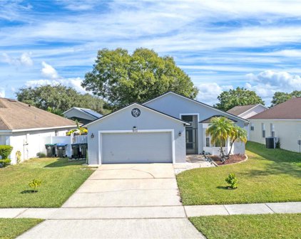 8711 Fort Shea Avenue, Orlando