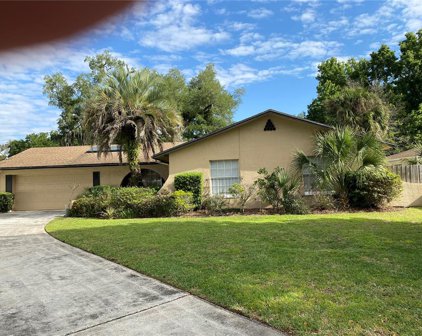1121 Appleton Avenue, Orlando