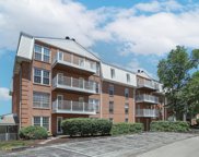 14471 Bantry  Lane Unit #22, Chesterfield image