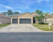 31203 Anniston Drive, Wesley Chapel image