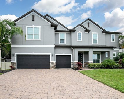 3049 Pinenut Drive, Apopka