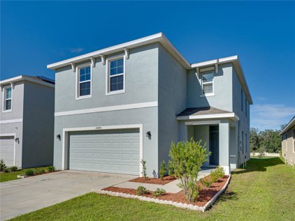10940 Trailing Vine Drive, Tampa