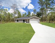 1280 Nw Redwood Drive, Dunnellon image