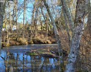 1545 UPPER COW CREEK RD, Azalea image