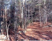 Lot 225 Snow Hill Road, Cresco image