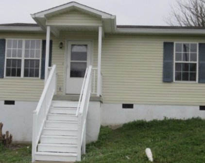 103 McClain Cir, Mount Pleasant