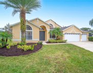 4704 Jacks Point Court, Lutz image
