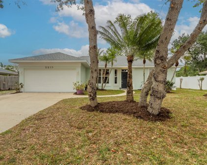 2215 Travelers Palm Drive, Edgewater