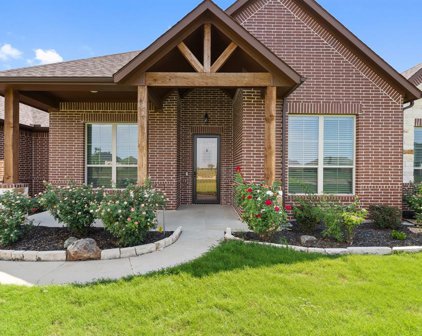 1110 Shadow Lakes  Drive, Wills Point