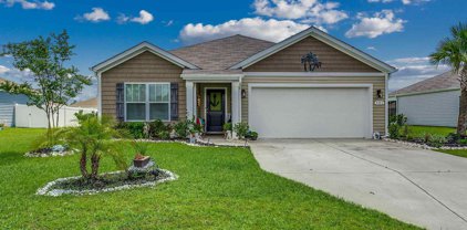 521 Mossbank Loop, Longs