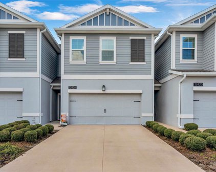 12426 Turtle Grass Drive, Orlando