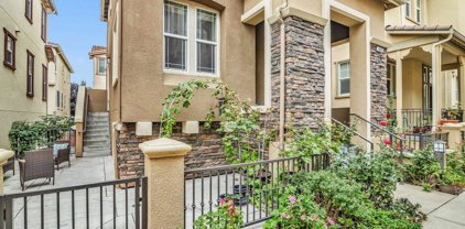 49042 Feather Grass Ter, Fremont