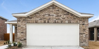 6041 Mojave  Drive, Forney