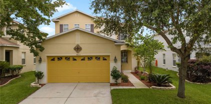 9613 Simeon Drive, Land O' Lakes