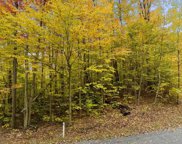 V/L Fawn Run Unit 12, Harbor Springs image