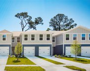 11440 Spectacled Drive, New Port Richey image