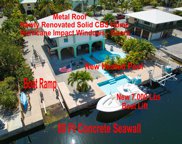 23047 Bluegill, Cudjoe image