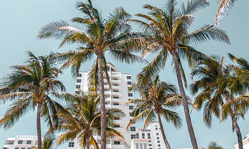 Fort Lauderdale Real Estate