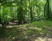 Lot 732 Mossy Hollow ROAD, White Pine image