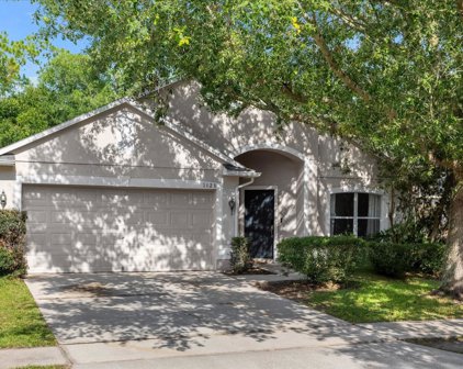 1823 Palmetto Pine Lane, Orlando