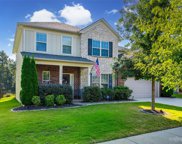 11144 Crane Creek  Drive, Charlotte image