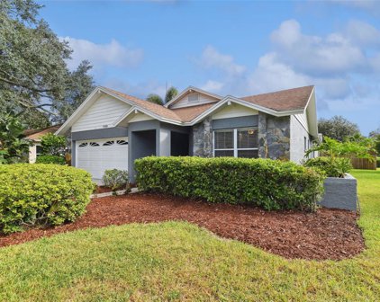 14501 Brambie Court, Tampa