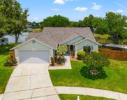 1747 Pintail Court, Lutz image