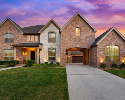 613 Picasso, Colleyville
