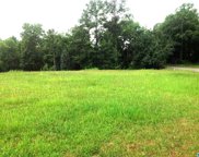 4851 Mill Springs Circle Unit 1, Mountain Brook image