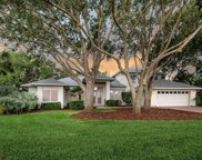 2811 Little Country Road, Parrish image