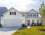 91 Hillcrest Way, Okatie image