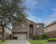 11918 Travis Path, San Antonio image