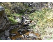 Stringtown Gulch Rd, Bellvue image