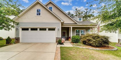 1862 Larkspur  Way, Tega Cay