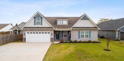 119 N Lakeview Drive, Duncan