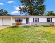 4538 Thicket  Drive, St Louis image