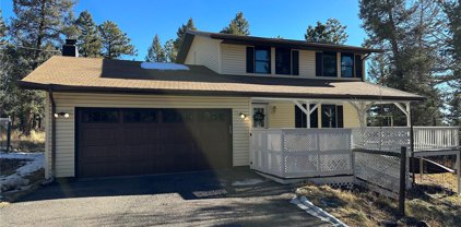 30683 Kings Valley Drive, Conifer